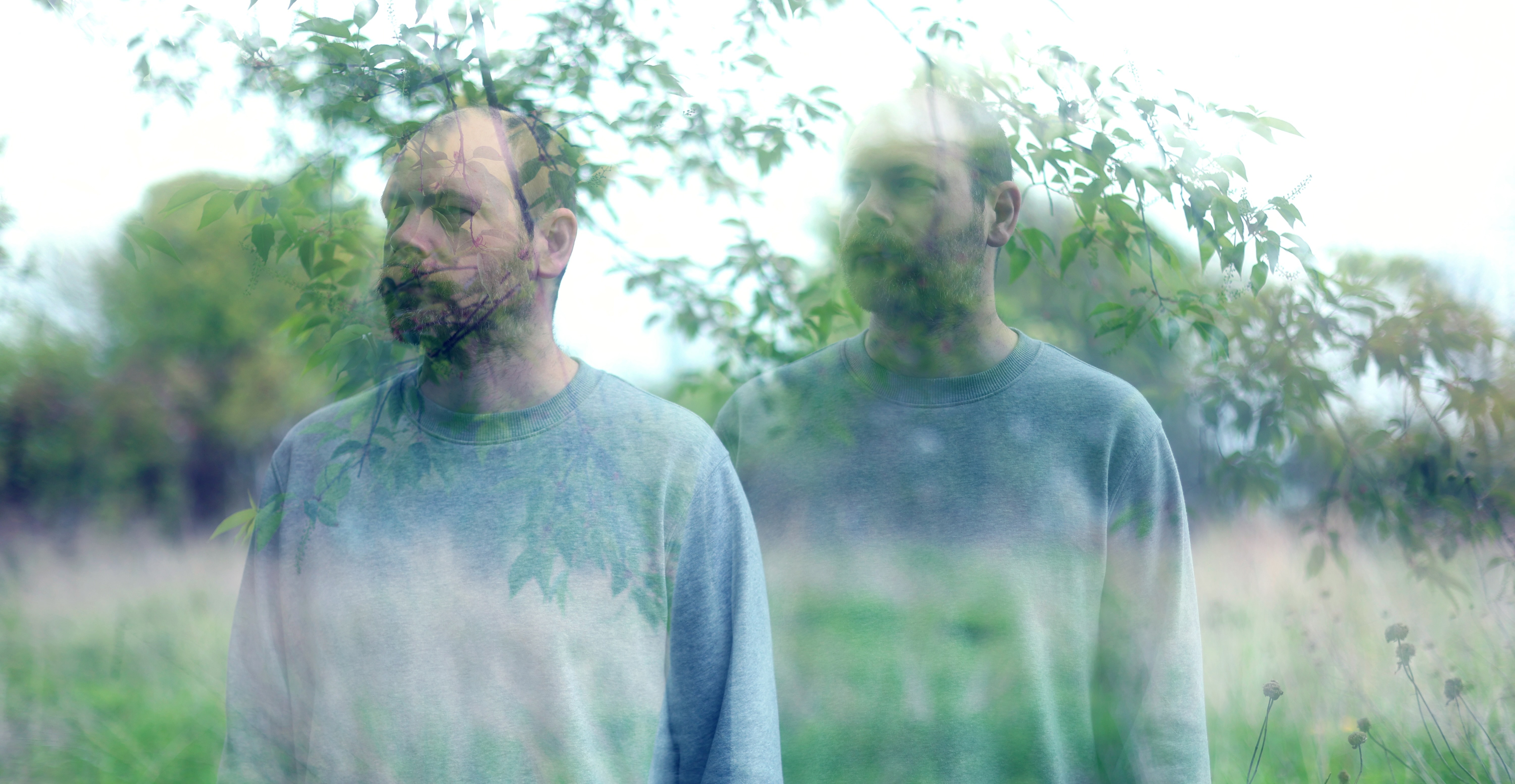 Lynyn: Trace Elements